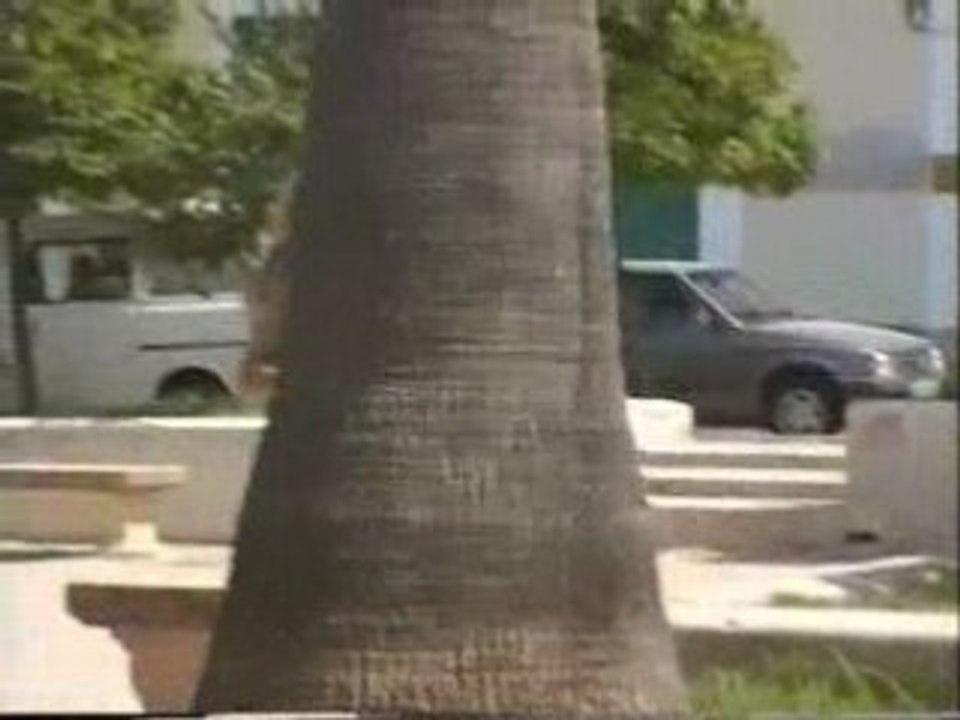 Y1994-1