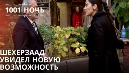 Шехерзаад увидел новую возможность| 1001 ночь - Эпизод 21