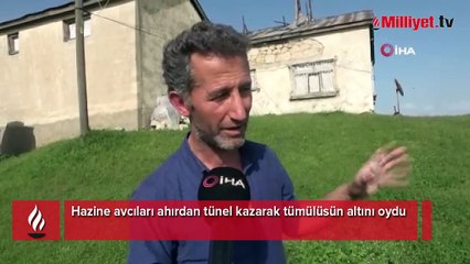 Define avcıları sınır tanımıyor! Ahırdan tünel kazarak tümülüsün altını oydular