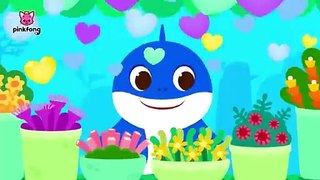 Happy Birthday Song -Ballad Version- Happy Birthday- Mommy Shark- Pinkfong for Kids