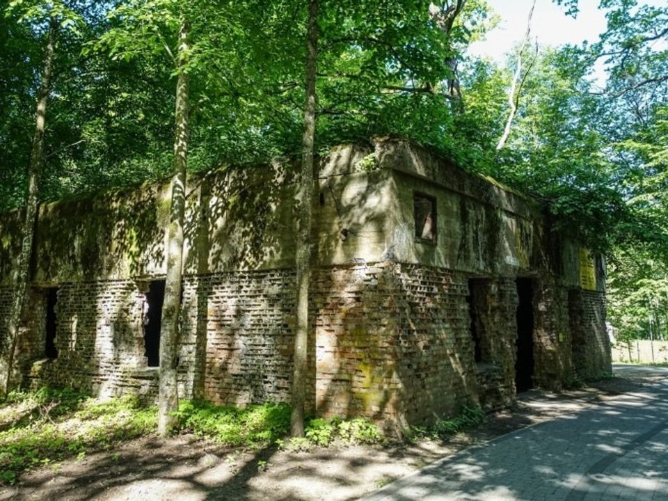 Forscher finden Skelette im Haus von Nazi-Verbrecher Göring