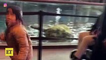 Inside Nicki Minaj's Son's EPIC Day at Aquarium