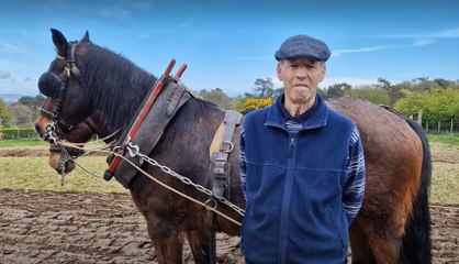 The timeless art of horse ploughing at the Country Skills Day