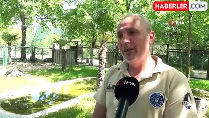 Bursaspor'un maskotu Bursa Hayvanat Bahçesi'nde