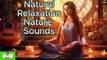Enchanting Harmony Beautiful Girls With Nature Music for Mind Relaxation and Inner Peace Nature Sounds, Natural Relaxation, Stress Relief, Relaxation Music,  Meditation Music,
