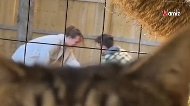 Il filme sa demande en mariage devant 1,9M de personnes : un intrus lui vole la vedette sans vergogne (vidéo)