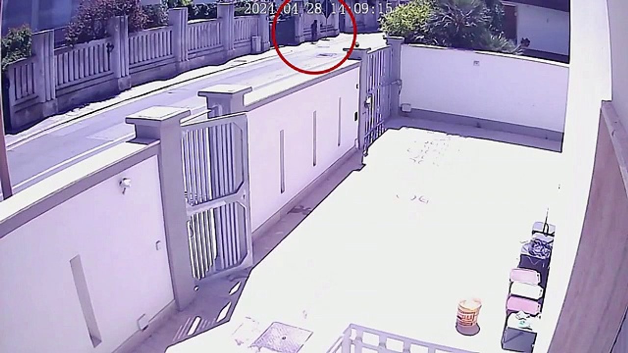 Auto contro un muro a Brindisi, pedone salvo per miracolo