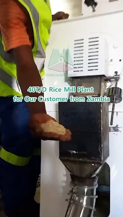 40t/d Rice Mill Plant | Rice Process Machinery in Zambia - hongjia Grain Machinery #ricemillsupplier