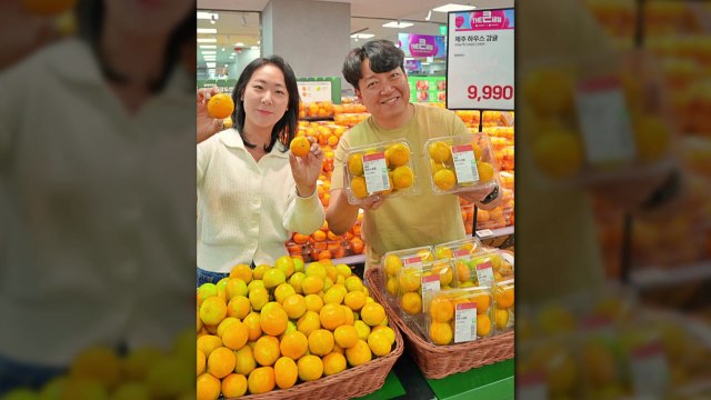 [기업] 롯데마트, 제주 하우스 감귤 9,990원에 판매 / YTN