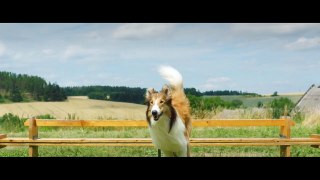 Lassie : La route de l'aventure Bande-annonce (EN)