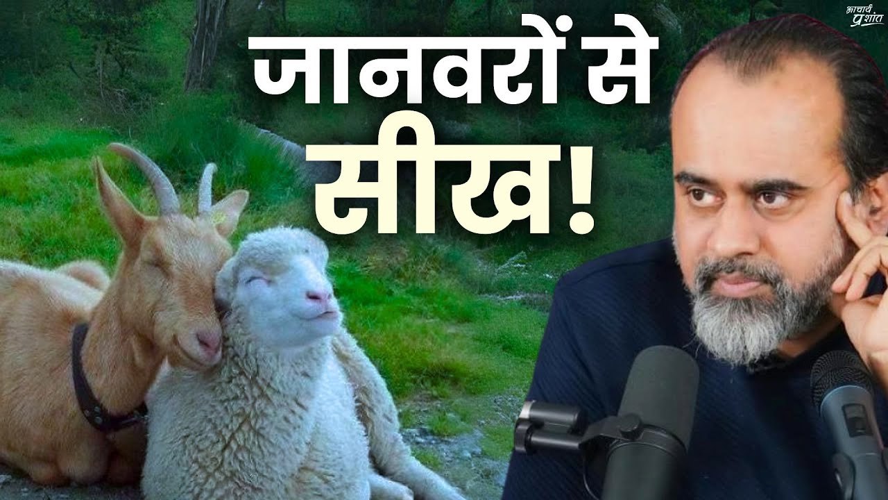 क्या जानवरों से भी कुछ सीखा जा सकता है? || आचार...