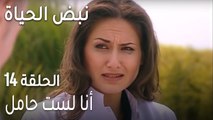 نبض الحياة الحلقة 14 - أنا لست حامل