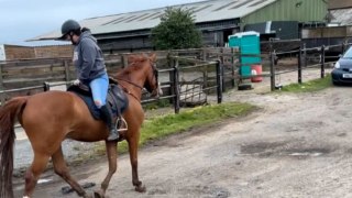Girl's backwards ride fails to reveal a horse perfect for all riding styles