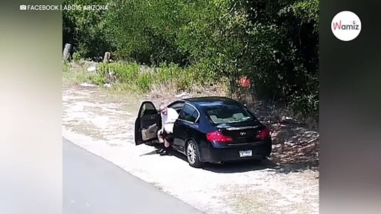 Überwachungskamera filmt Autofahrer: Kurz später klicken die Handschellen (Video)