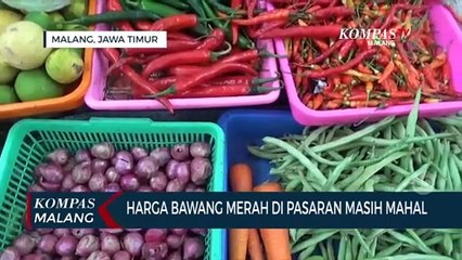 Sudah Satu Bulan, Harga Bawang Merah Awet Mahal!
