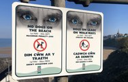 Pembrokeshire Council to carry out 'pooch patrols' for breaches of beach byelaws