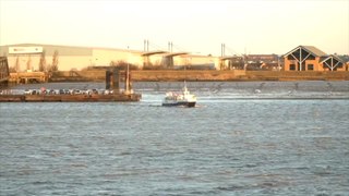 Gravesend businesses struggling a month on from Tilbury Ferry closure