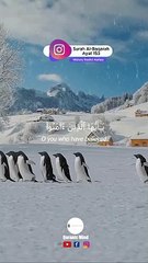 Surah Al-Baqarah - Ayat 153