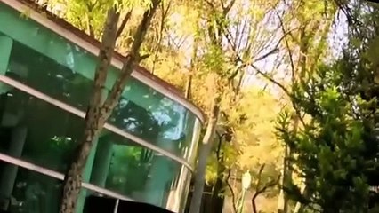 Vivir de Amor Cap 69 Completo