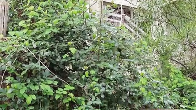 PISCINA FANTASMA SAN LICANDRO, ACCORDO CON CREDITO SPORTIVO