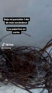 Dejó su pantalón secándose al sol y cuando lo fue a buscar se quedó sin palabras