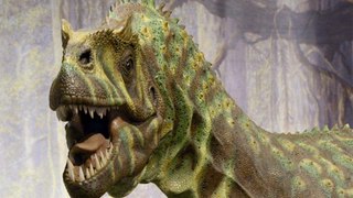 T. Rex was not as clever as previously thought