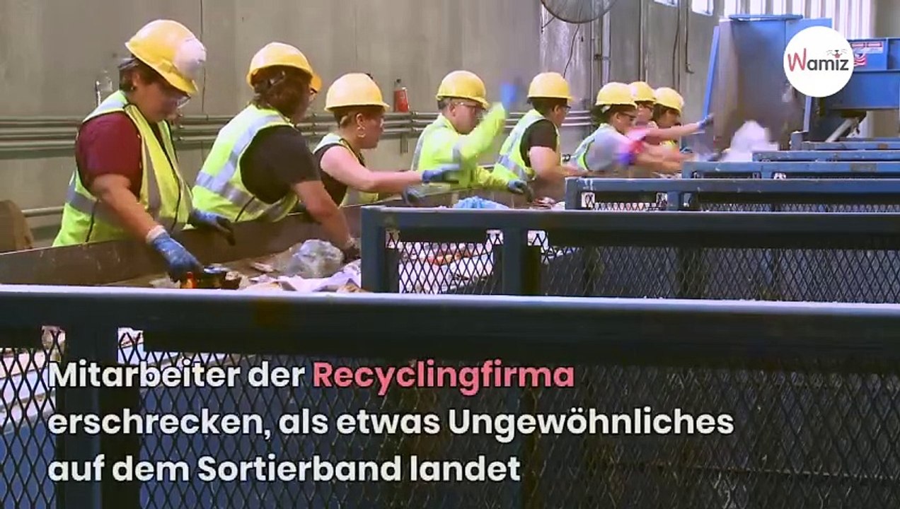 Kurioser Fund in Altkleider-Container: Wer nur wirft so etwas weg?