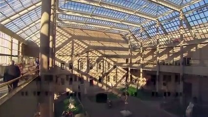 A World of Art: The Metropolitan Museum of Art (2009)