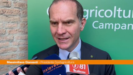 Ue, Giansanti "Con aiuti di Stato il Patto di Stabilità va ripensato"