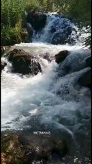 Di hundurê dilê min de hinek tişt şîn didin, tu jî yek jî wan î