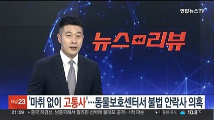 '마취 안 하고 고통사'…동물보호센터서 불법 안락사 의혹