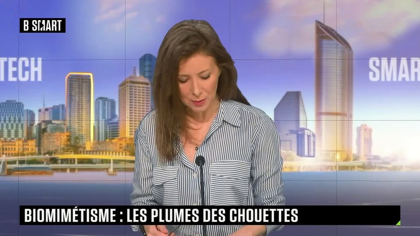 Rendre notre monde plus silencieux à l’aide des chouettes ? 