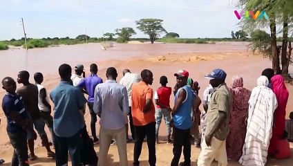 Banjir Gegara Tanggul Jebol, Puluhan Orang Tewas di Ibu Kota