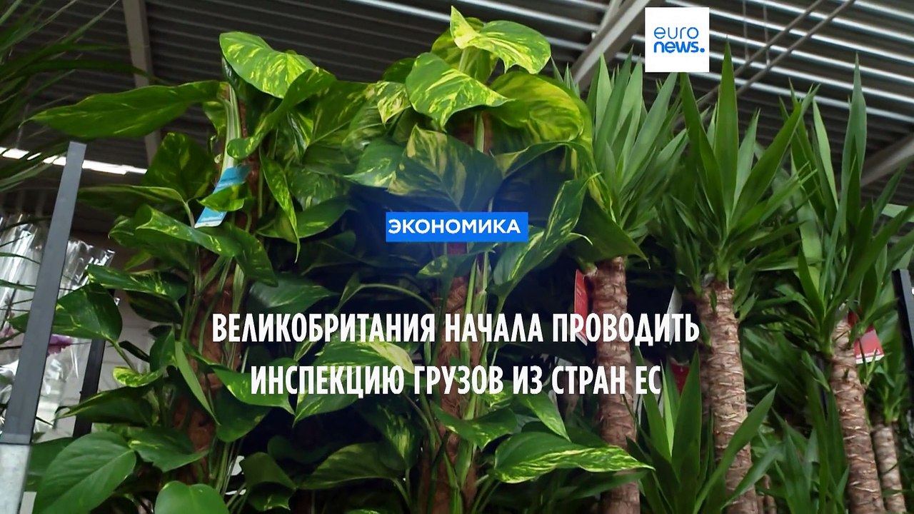 Великобритания начала проверки свежих продуктов...
