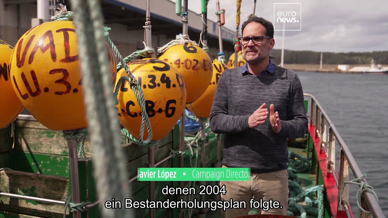 Interview: Wie Europas schnelles Handeln den Seehecht rettete