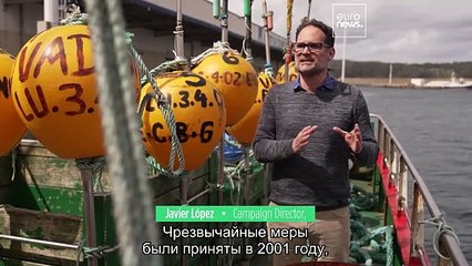 Интервью: как Европе удалось спасти важнейшую популяцию хека от уничтожения?