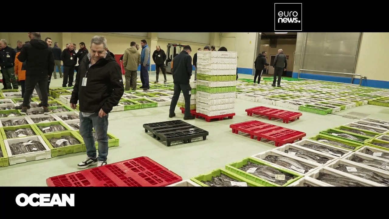 Proaktives Handeln hilft Fischbestände zu erhalten und nachhaltig zu befischen