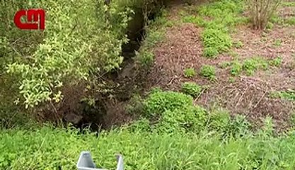 Jovem de 24 anos amarrado e regado com gasolina em zona florestal de Viseu