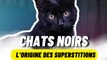 D'ou vient cette légende des chats noirs ?