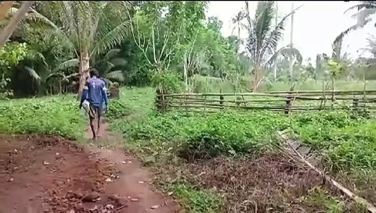 Farm Life 2