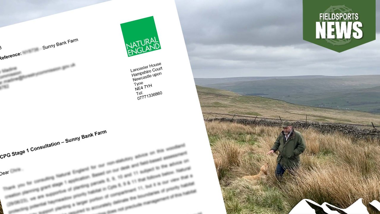 Natural England stops woodland planting on a shoot