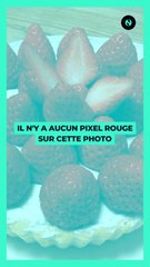 Il n'y a aucun pixel rouge sur cette photo.