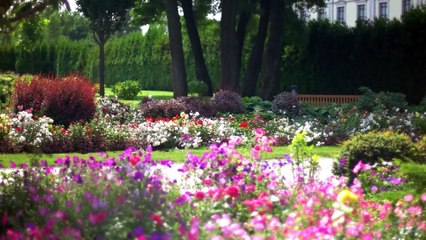 Dr. Ellie Cannon shares advice on reducing hay fever symptoms