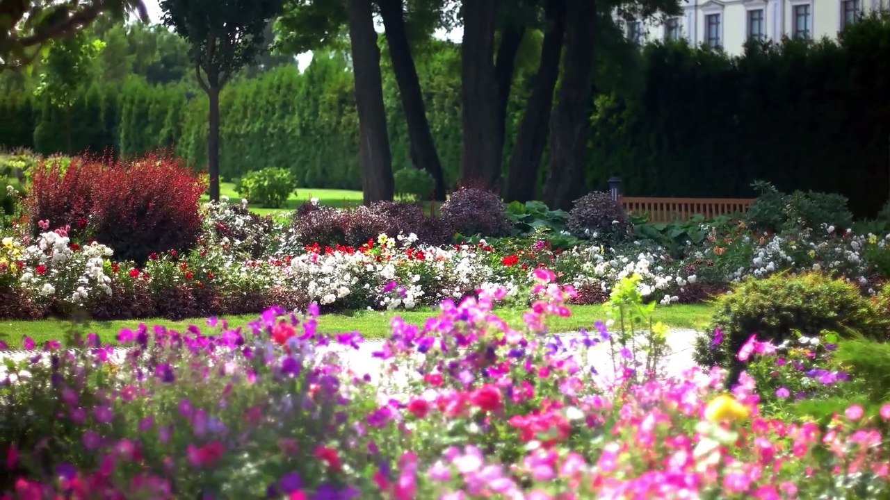 Dr. Ellie Cannon shares advice on reducing hay fever symptoms