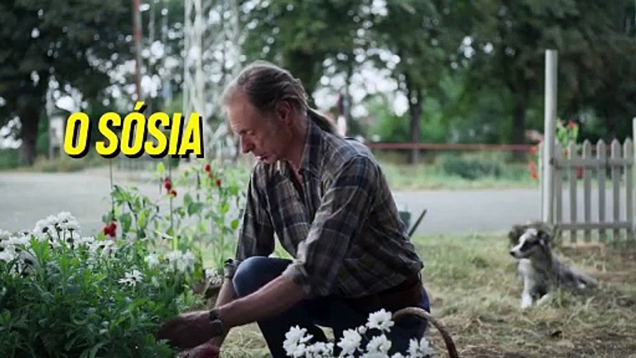 A Estrela Cadente | Trailer Legendado