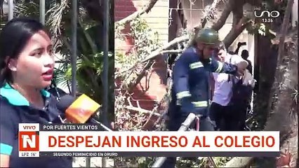 Otra profesora herida a causa del árbol caído