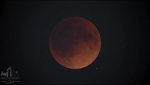 Amazing Super Flower Blood Moon Eclipse Time-Lapse