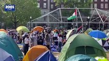 Estudiantes continúan firmes en apoyo a Palestina