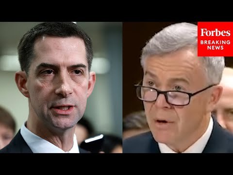 Tom Cotton Grills Military Officials On ‘Payoff’ Of Special Operations In Ukraine