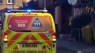 Horreur à Londres : Homme de 36 ans poignarde des passants, un enfant de 13 ans tué !